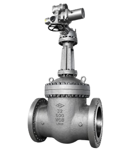Cryogenic Valves